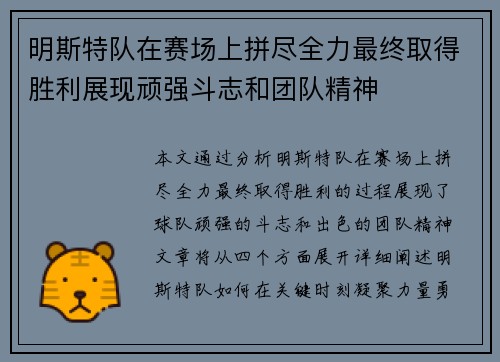 明斯特队在赛场上拼尽全力最终取得胜利展现顽强斗志和团队精神