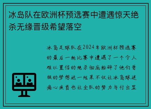 冰岛队在欧洲杯预选赛中遭遇惊天绝杀无缘晋级希望落空