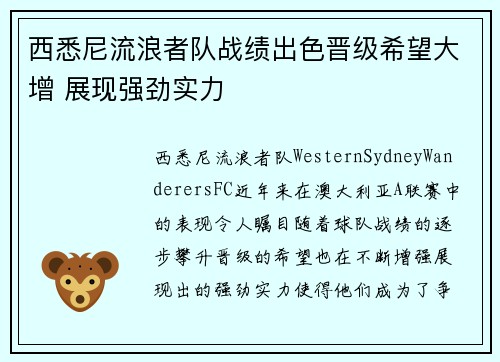 西悉尼流浪者队战绩出色晋级希望大增 展现强劲实力